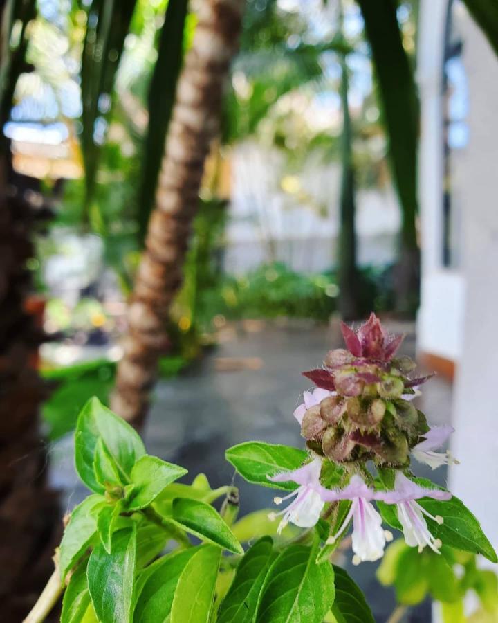 Tlaquepaque Pueblito Otel Dış mekan fotoğraf